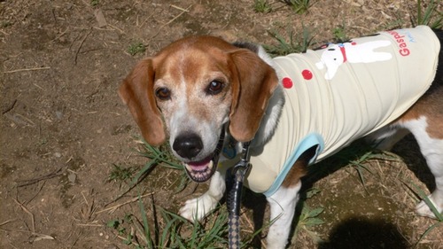 2012-09-18 09:59:05 写真3