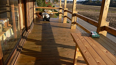 f6cb3e45.jpg