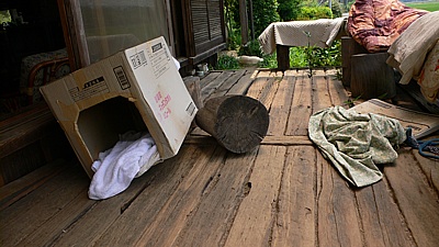 f808881c.jpg