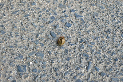 f99404d9.jpg