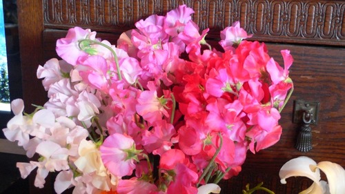 2013-02-17 02:48:40 写真2
