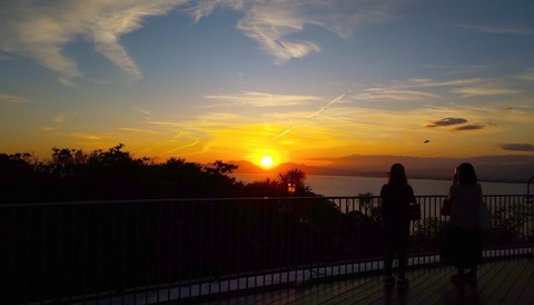 DSC_0518 (2)