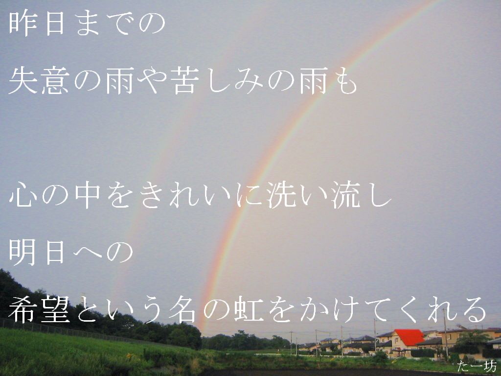 希望という名の虹 人生 七転び八起き ダルマに学ぶ行動学 希望という名の虹 人生 七転び八起き ダルマに学ぶ行動学