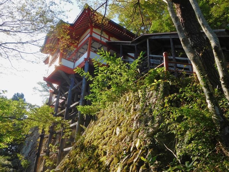 DSCN9250