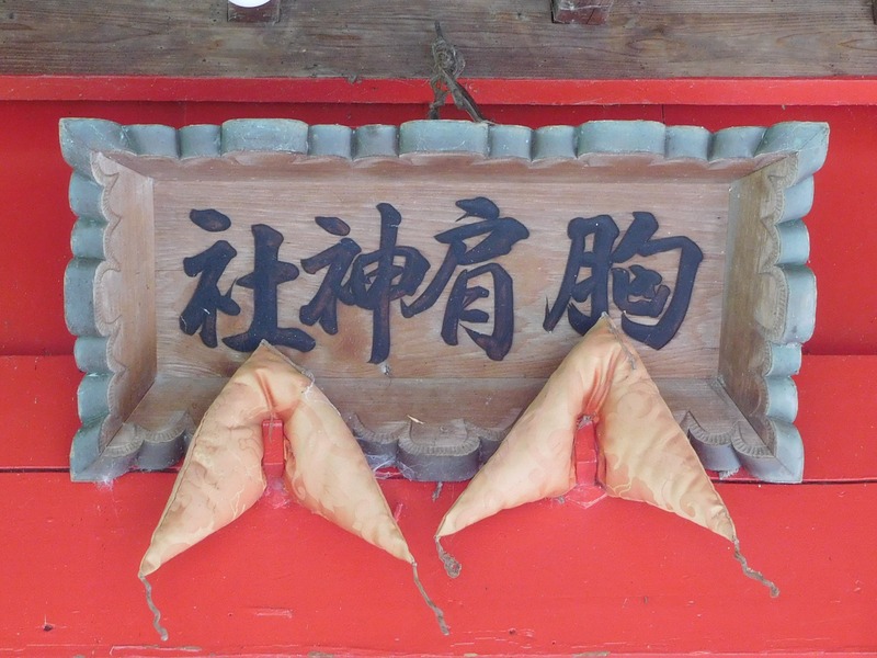 DSCN9277