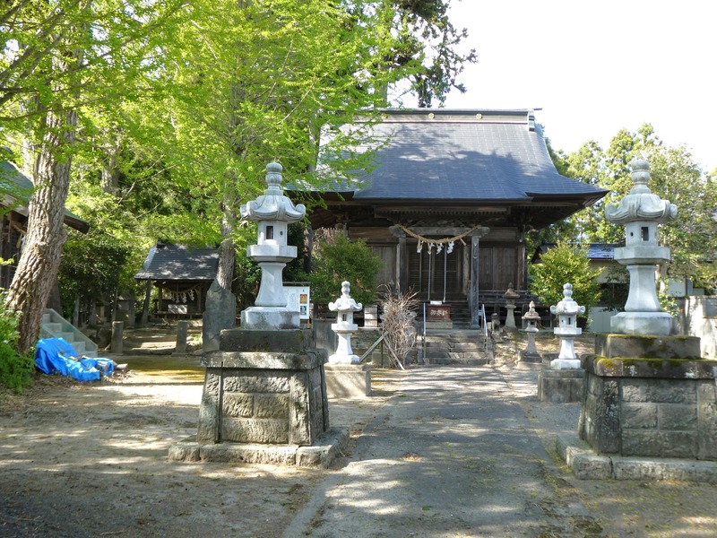 P1030754