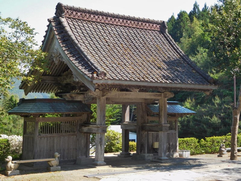 DSCN9025