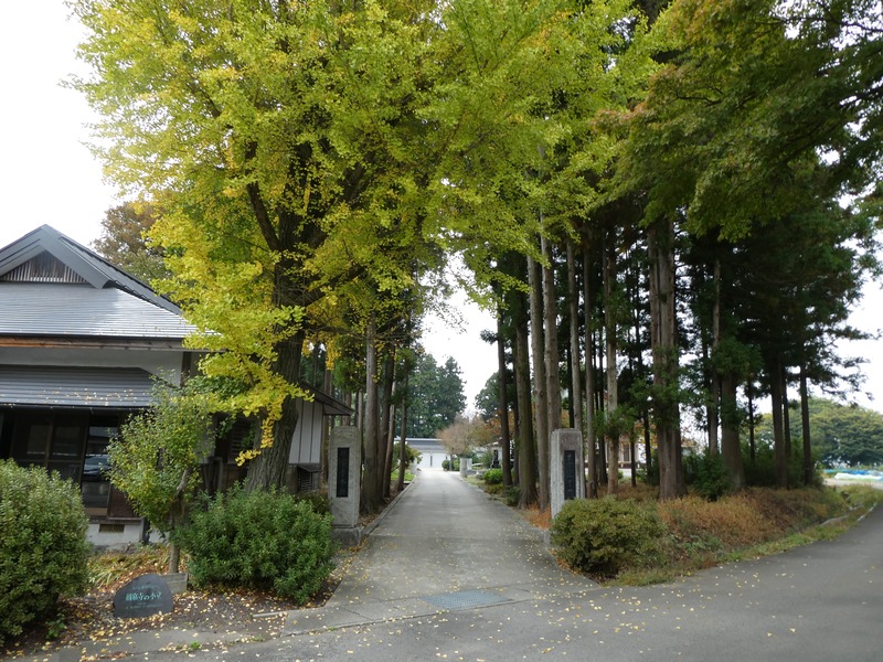 P1030537