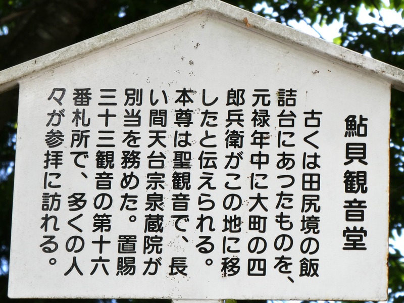 P1010910