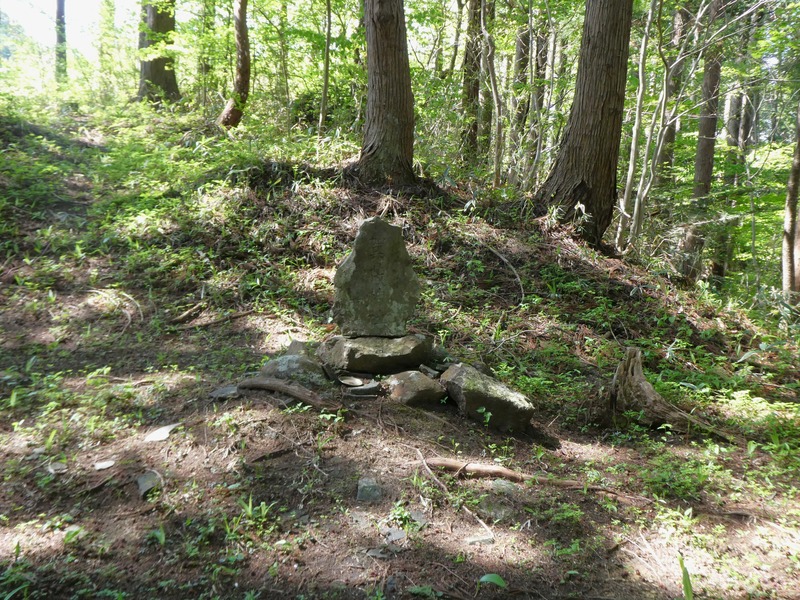 P1030746