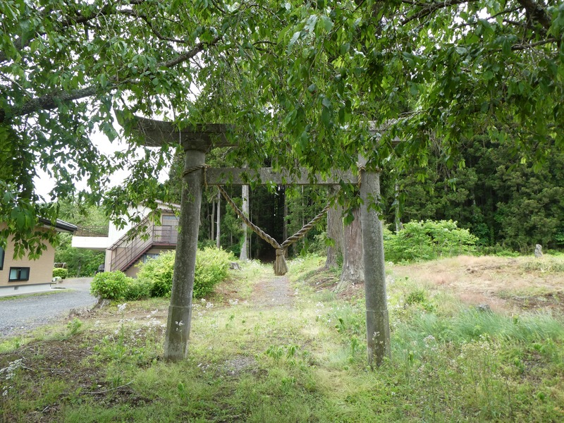P1030830