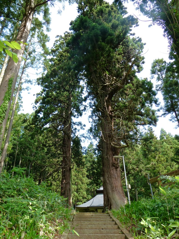 P1010860