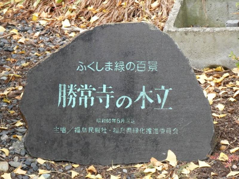 P1030538