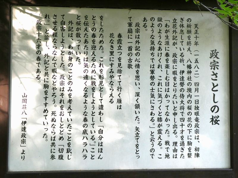 P1010703