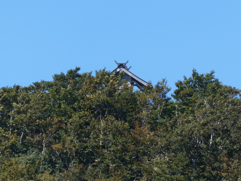 P1020386