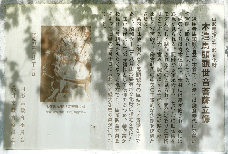 P1010984