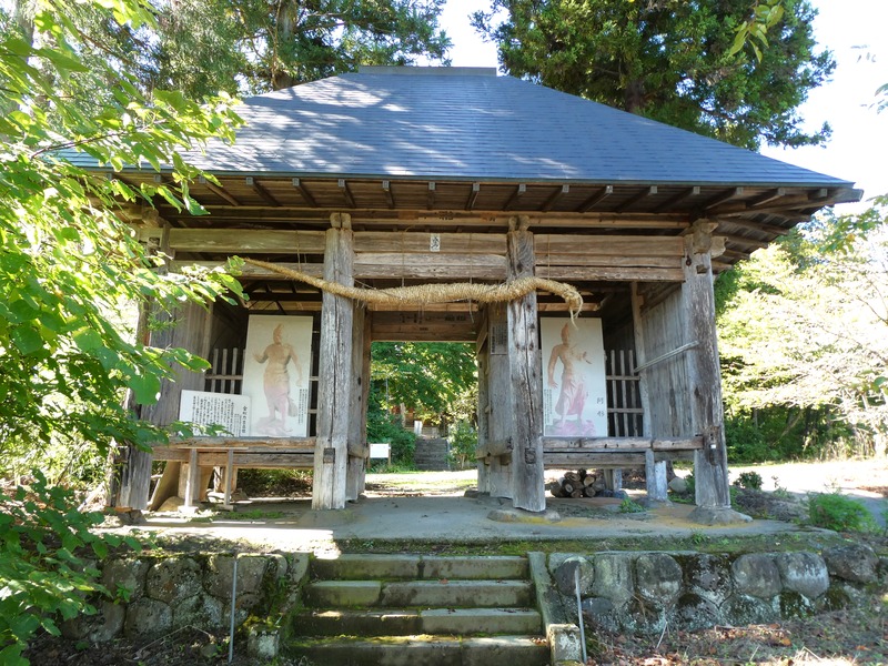 P1030371