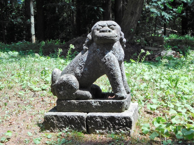 DSCN0342