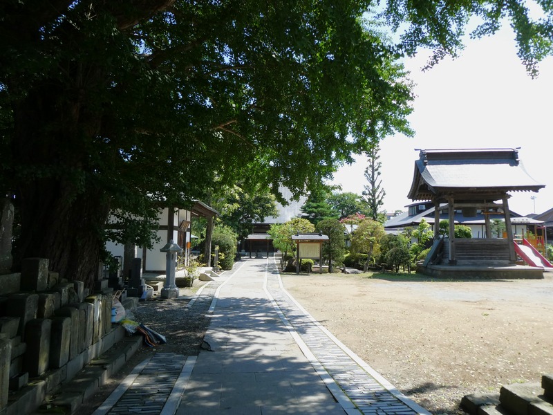 P1030065