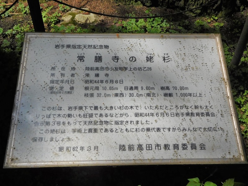 DSCN8969