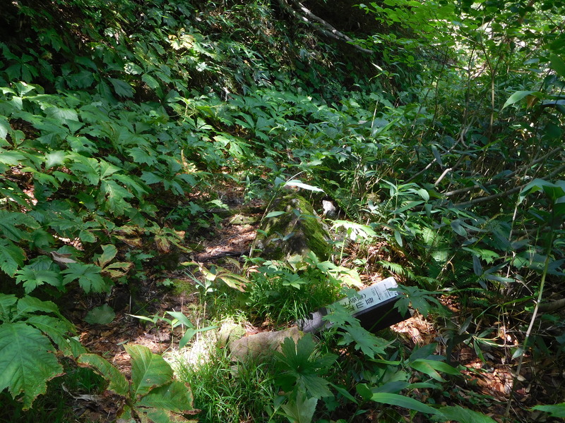 1f04f45c.jpg