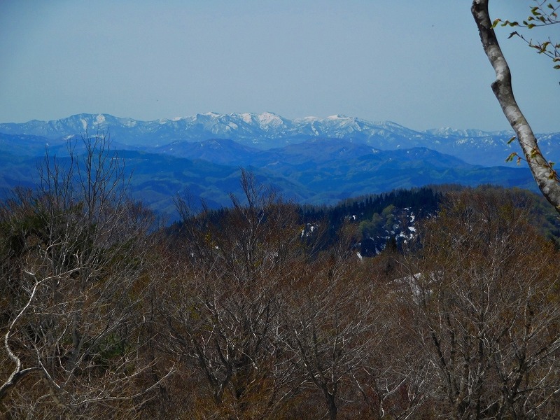 26f773cb.jpg