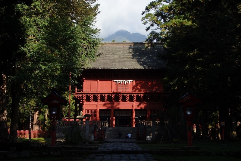 283d443b.jpg
