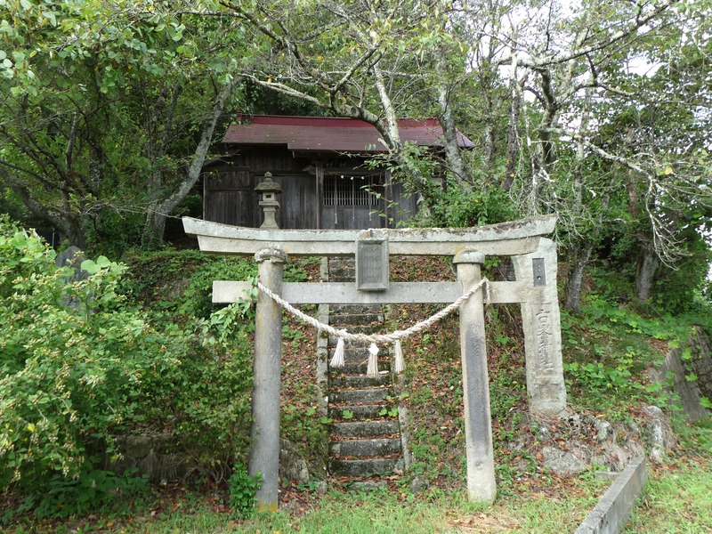 P1030244
