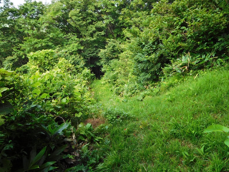 DSCN9404