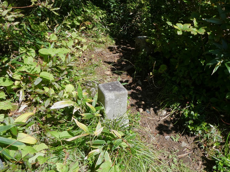 P1020391