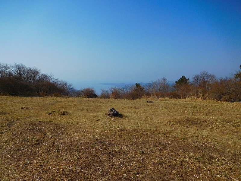 2dfe39d3.jpg
