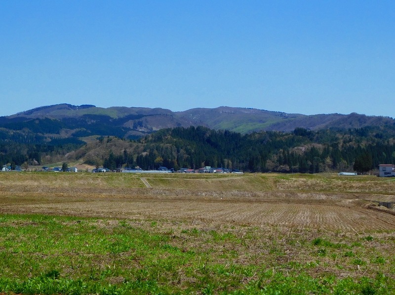2f183712.jpg