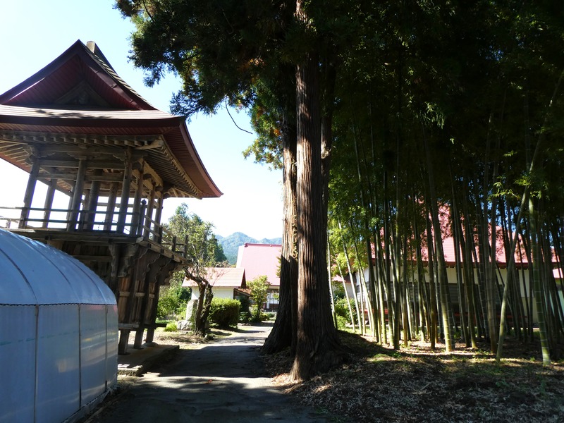 P1030335