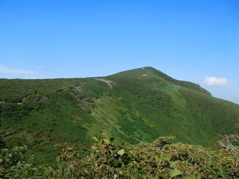 2f5782c2.jpg