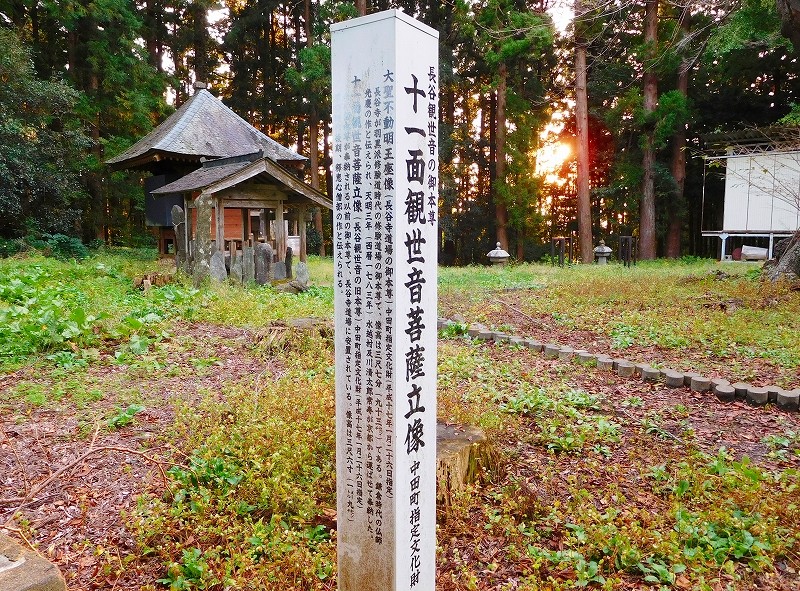 s-260