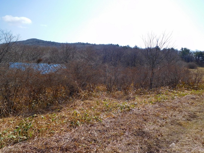 338a2e90.jpg