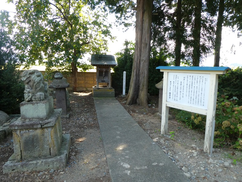 P1030153