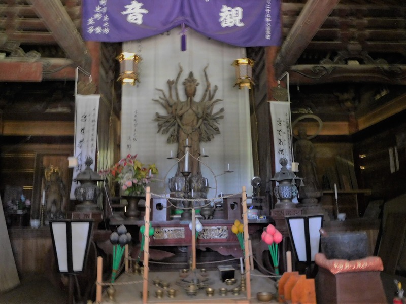 DSCN8974