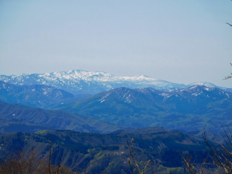 36f5b52d.jpg
