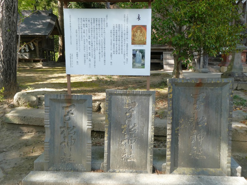 P1030757