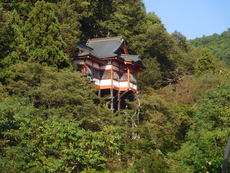 DSCN9251