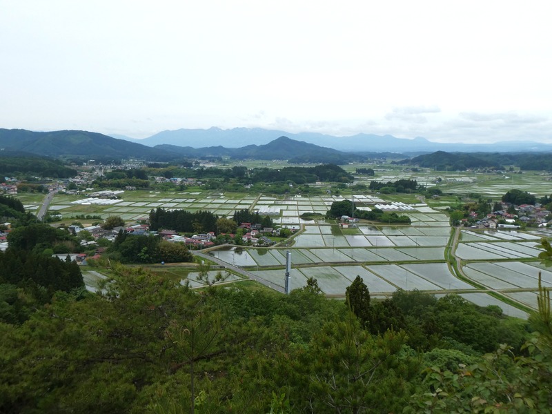 P1030806