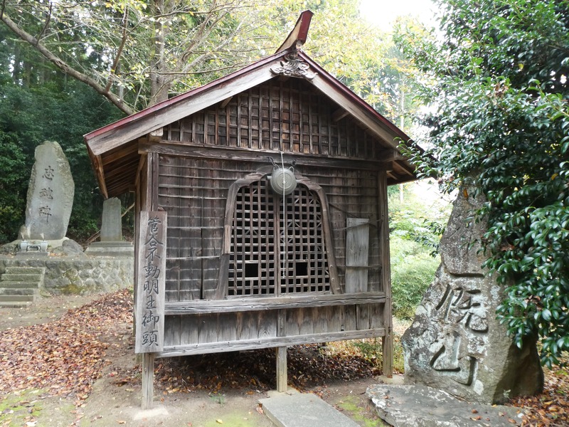 P1030504