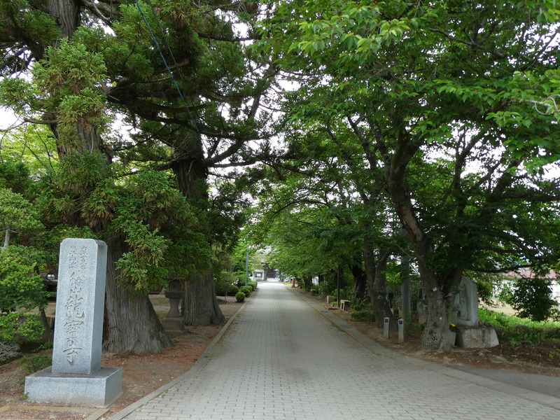 P1010702