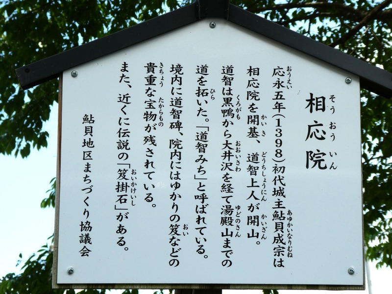 P1010901