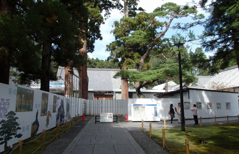 465874ac.jpg