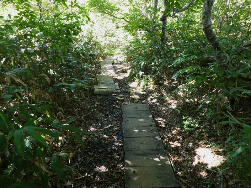 P1020389