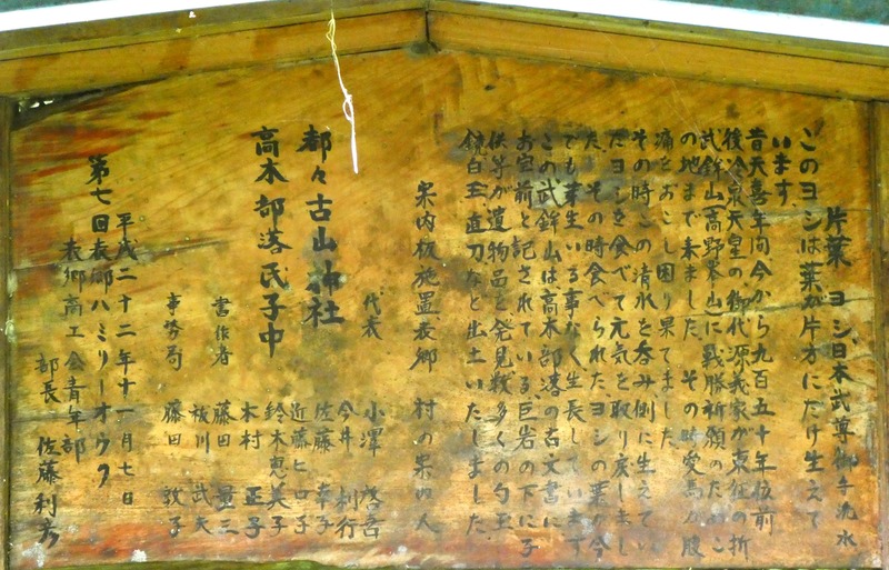 P1030790