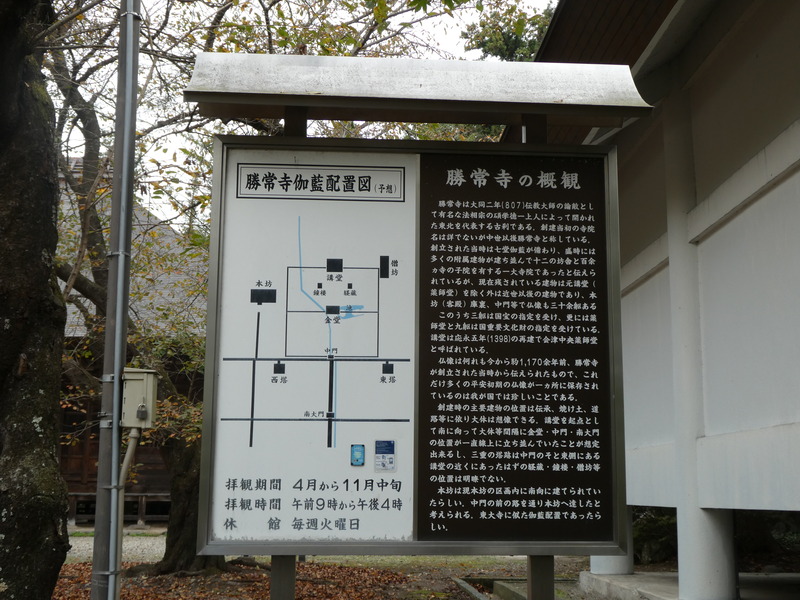 P1030533