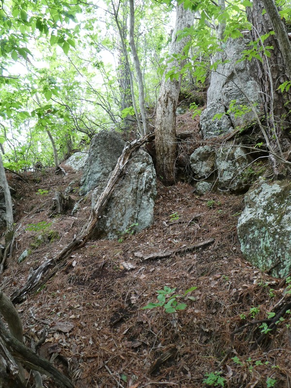 P1030811